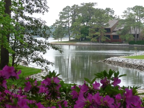 view from front yard