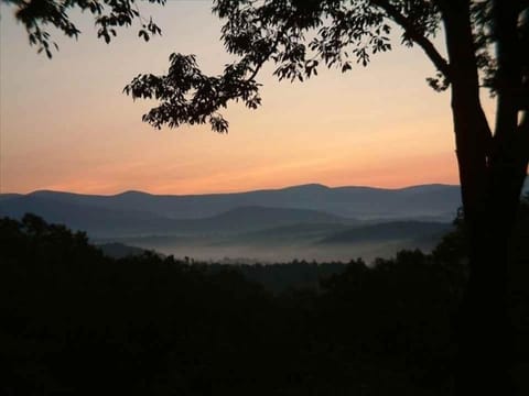 Morning view from front porch