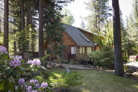 Come and relax in the tranquil settings of The Cabin.

