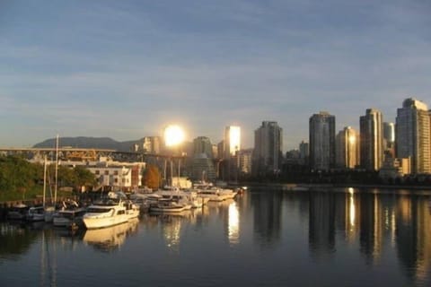 Morning View from Front Door