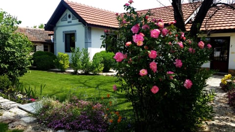 House & Garden
