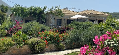 Villa Pefnos is set in its own olive grove with lovely gardens.