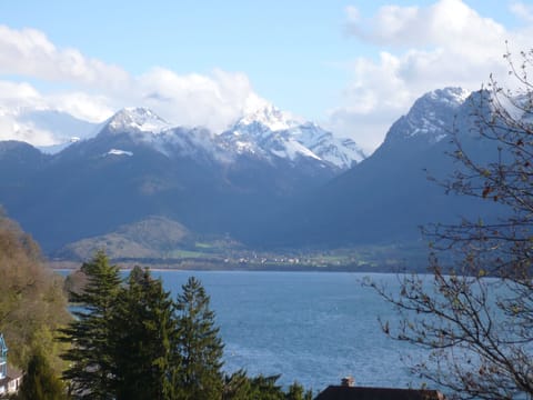 Spacious apartment in the heart of Talloires. Beautiful mountain and lake view. Terrace. Apartment in Talloires