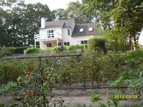 2 acres of organic garden in front of the house