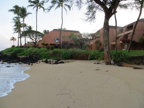View of our building from Kuleana south beach with 702 30 feet from the sand