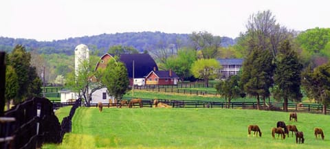 Farm Complex