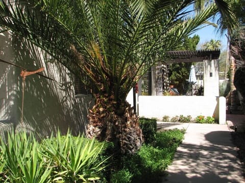 Welcome to Patio House! Ahhhhhh....