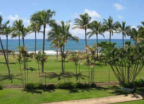 Inside View  Ocean Close-up