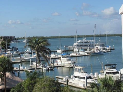Marina View from Top floor condo landing.  Picture Perfect!