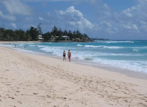 Pristine Dover Beach, less than 100 yards away.
