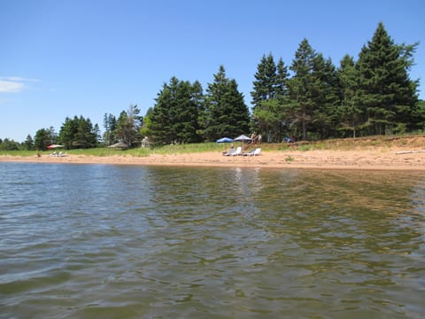 Beach at high tide