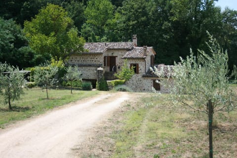 House and olive grove