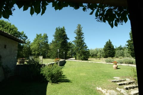 View of the park from the middle capanna front  bedroom. August 2016. 

