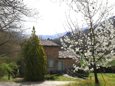 Casa Molino from pool, April 2015