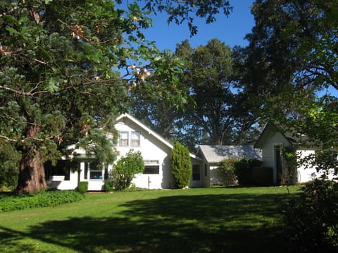 Craftsman house with large grassy yard