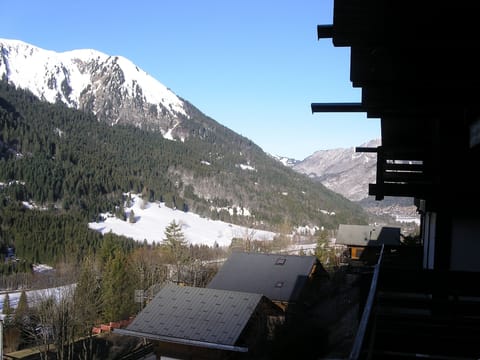 evening view from chalet