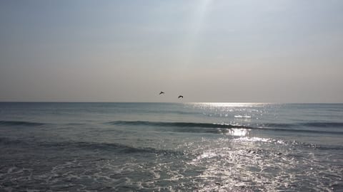 Good morning World!  From Hutchinson Island Beach!!!