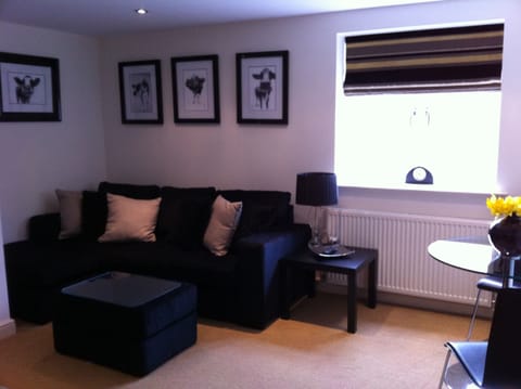 Lounge - open plan with kitchen and seating area