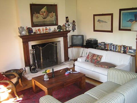 living room  with fireplace