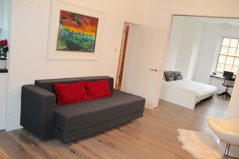 Lounge-Bedroom