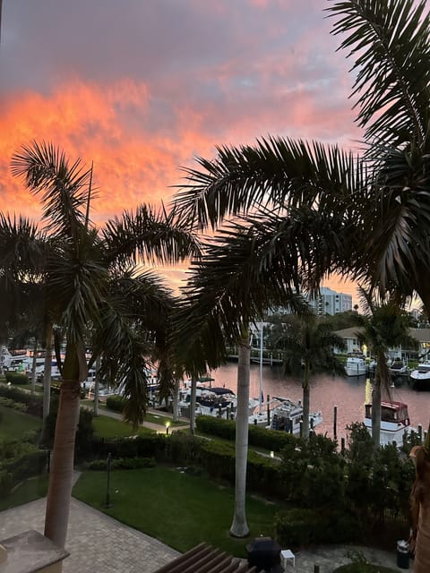 Sunrise view from the living room