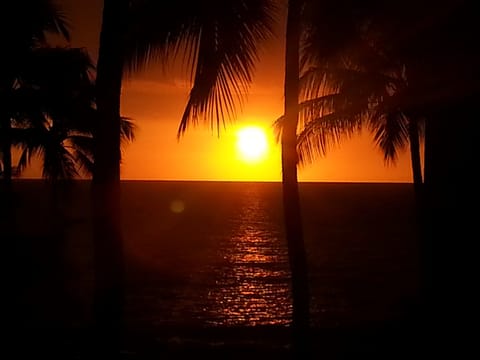 Welcome to paradise.