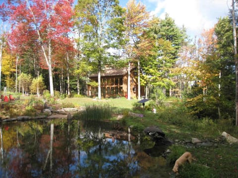 Fallscape with Pond and Dog