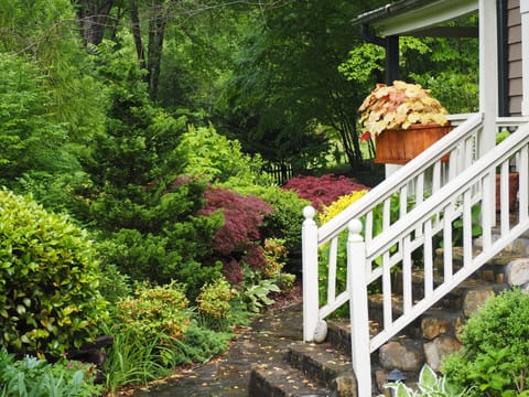 Cottage Front
