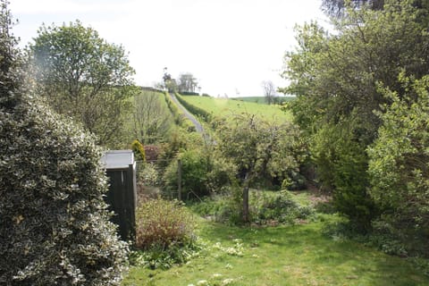 View from the garden