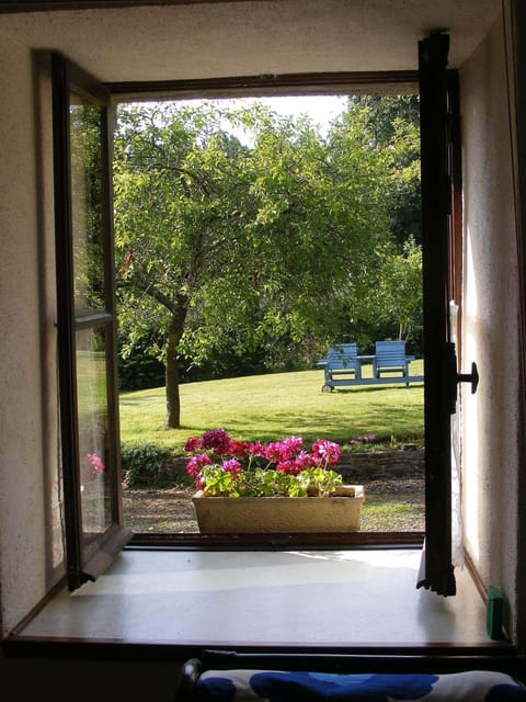 View out over the lawn with fruit trees