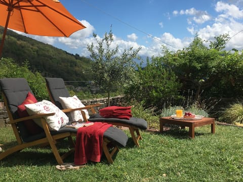 A few steps down from the terrace into the enclosed garden for more relaxing!