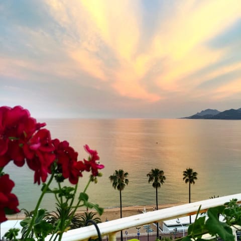 View from terrace