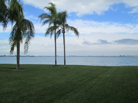 View from Lanai