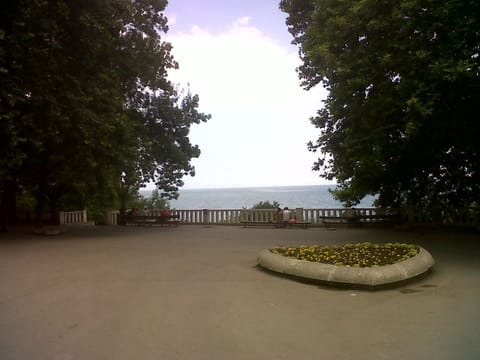 The Marine garden - 7 min walk from our place