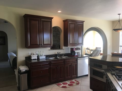 Oversize Elkay sink base, Jenn-Air Dishwasher, built-in KitchenAid microwave. 