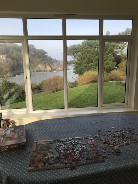 Cold Winter morning in the sunroom 
