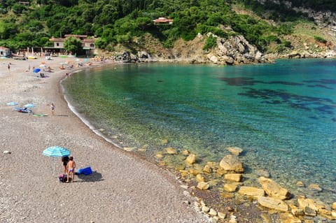 The beach
