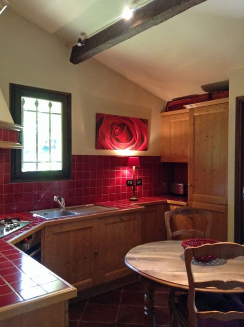 Fridge and freezer, dishwasher