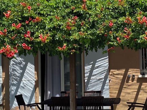 Shaded patio