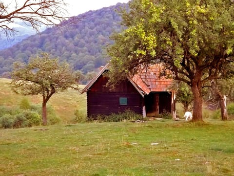• Cozo Fantu • Carpathian lodge Romania • more pictures: www.casa-vale.net