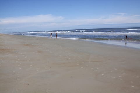 Ormond Beach looking north