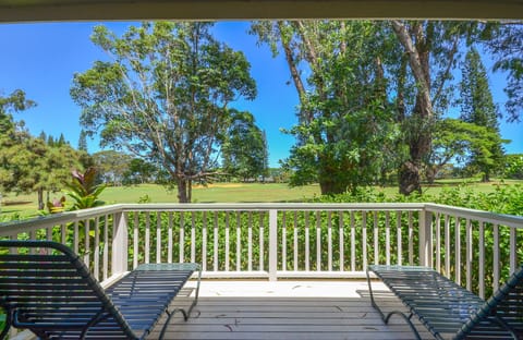 Sunbathe on Lanai (views can vary)