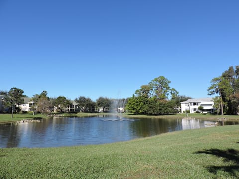 View from Lanai: Lake and fountain