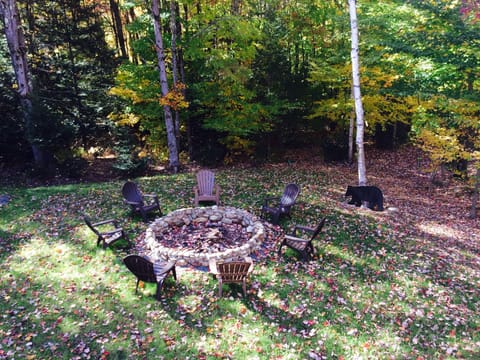 This firepit rocks!! (not a real bear)