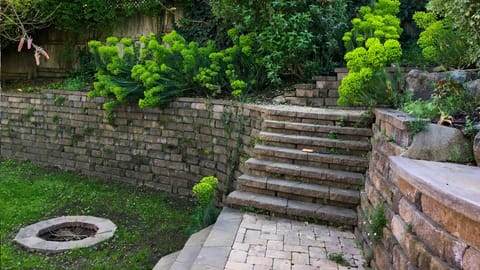 Roast Marshmallows  in the backyard fire pit.