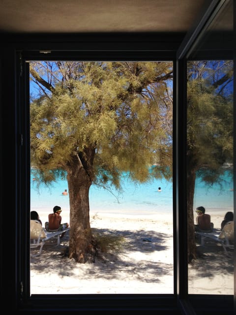 View from the lounge room