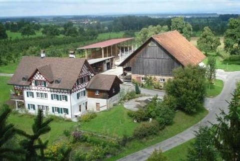 Picture 1