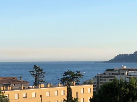 Beach/ocean view