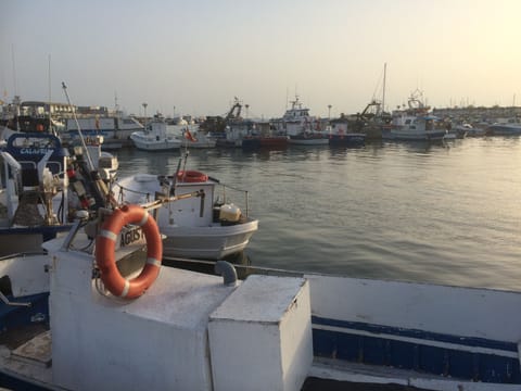 Marina