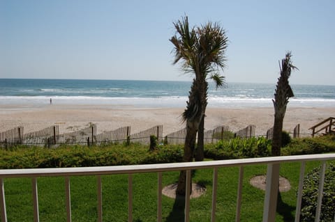 Views from Ocean's Edge